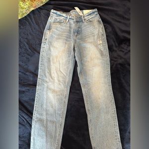 Brand new American eagle Mom Jean